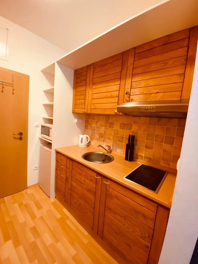 Apartment Studio No.314 In Fatrapark1 Rużomberk Zewnętrze zdjęcie